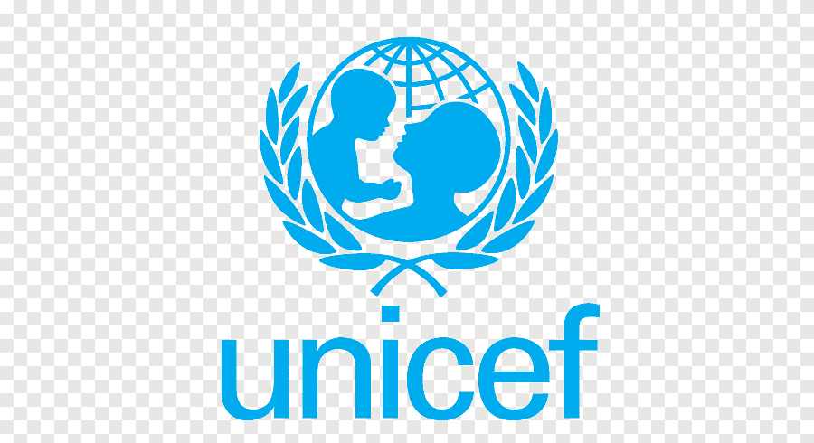 Responsable de la vaccination, Niamey - Niger
